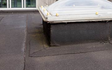 disadvantages of Biscathorpe flat roofs