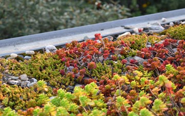 the cost of Biscathorpe green roof installation