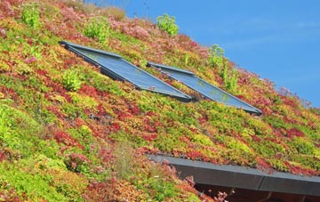 Biscathorpe living roof systems