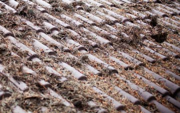 Biscathorpe roof cleaning companies