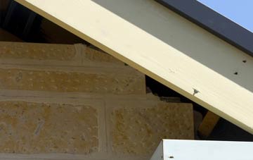 soffit repair Biscathorpe