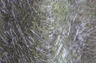 Biscathorpe fibreglass roof work