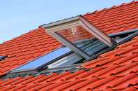 Biscathorpe roof window